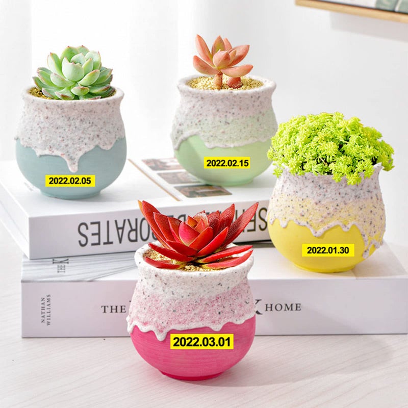 Absonic 24mm Yellow Tze Label Tape Compatible for Brother TZe-651 Tze651 0.94" Black on Yellow Tz Laminated Tape for Ptouch Label Maker PTD610BT PTD600 PTP750W PTP710BT E550WVP 2730VP 2430PC, 3 Pack - Image 5